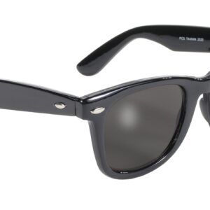 Pacific Coast Blues Brothers Glasses (Black Frame/Smoke Lens)