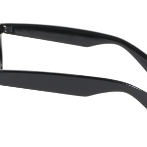 Pacific Coast Blues Brothers Glasses (Black Frame/Smoke Lens)