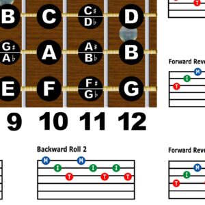 Dobro G Tuning Resonator Guitar Fretboard Note & Rolls Chart - Beginners & Intermediate Instructional Easy Poster Chords 11x17 | A New Song Music