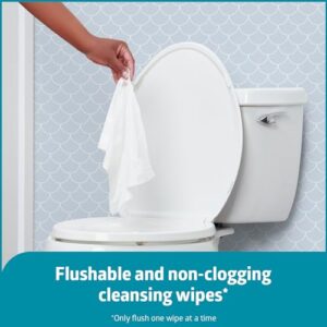 Medline Readyflush Biodegradable Flushable Wipes, 9 Tubs of 60 Wipes