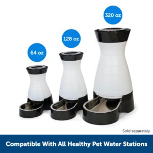 PetSafe Healthy Pet Water Filter, for Healthy Pet Water Station for Dogs and Cats