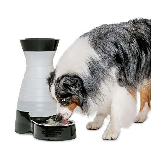 PetSafe Healthy Pet Water Station- Large, 320 oz Capacity- Gravity Cat & Dog Waterer- Removable Stainless Steel Bowl Resists Corrosion & Stands Up to Frequent Use- Easy to Fill- Filter Compatible