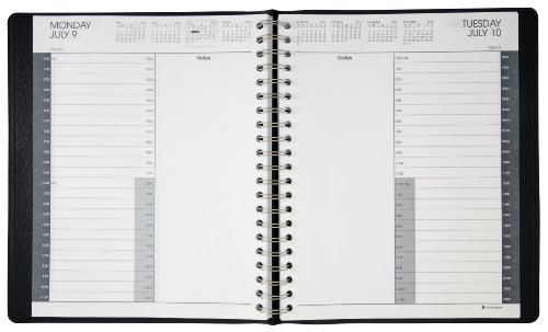 AT-A-GLANCE Recycled 24-Hour Daily Appointment Book, 8 1/2 x 11 Inches, Black, 2012 (70-214-05)