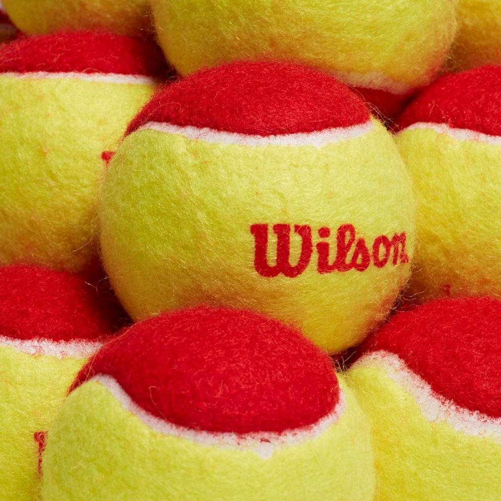 Wilson Tennis Balls, Starter Red, Pack of 12, Yellow/Red, for Children, WRT137100