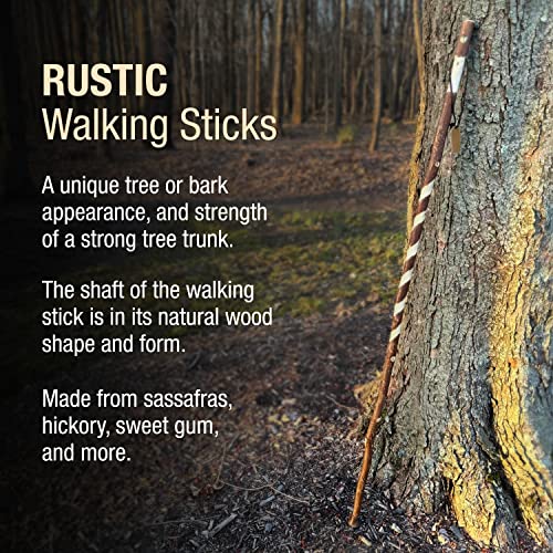 Brazos Rustic Wood Walking Stick, Twisted Sweet Gum, Traditional Style Handle, for Men & Women, Made in the USA, 55"