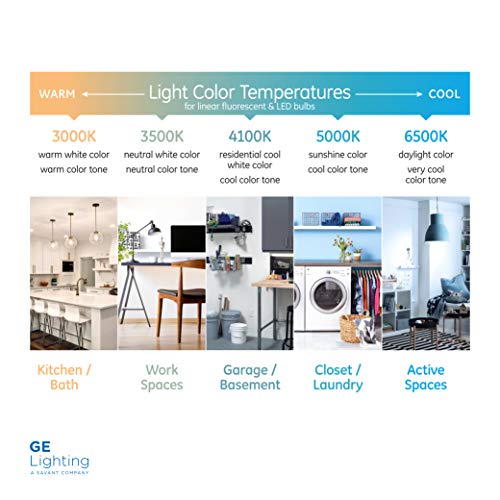 GE Lighting FC12 T9 Garage & Basement Circline Fluorescent Light Bulb, Cool White Finish, 32-Watt, 1950 Lumen, 12-Inch Circular Diameter, 1-Pack