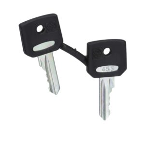 set of keys, replacement, 22mm