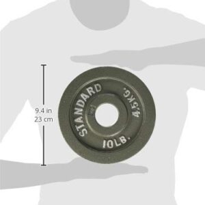 CAP Barbell Olympic 2-Inch Weight Plate, Gray, 2.5 LBS