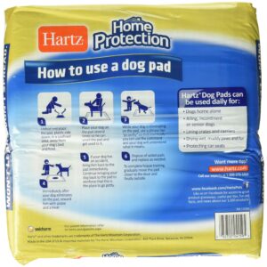 TRAINING PAD DOG 50PC