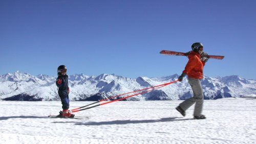 Copilot Ski Trainer - The Fast and Easy Way to Learn to Ski