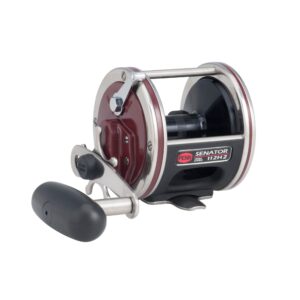 penn special senator star drag conventional nearshore/offshore fishing reel, ht-100 star drag, max of 22lb | 9.9kg, machined and anodized aluminum spool, 450 -yard, 50 -pound capacity, multicolor