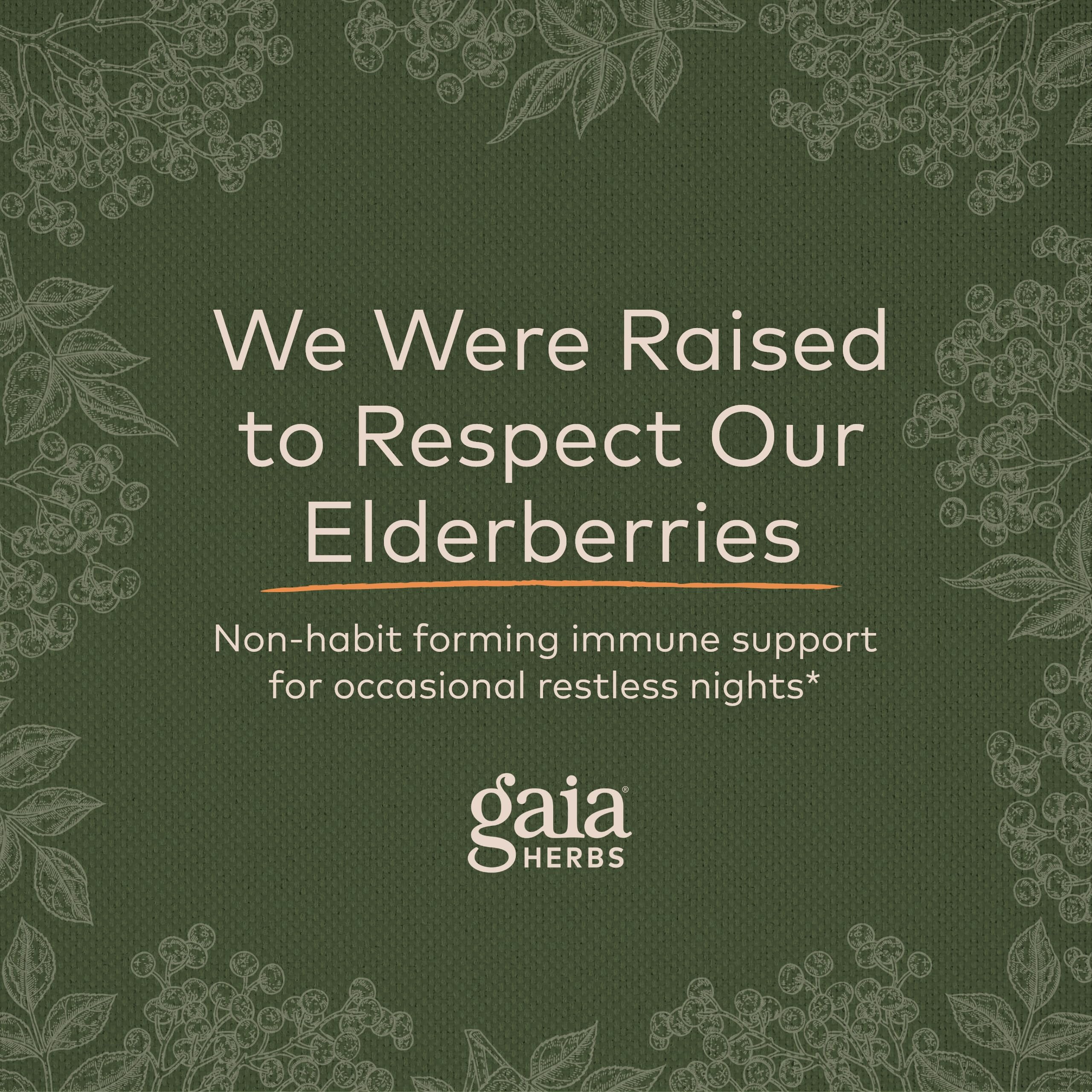 Gaia Herbs Black Elderberry, NightTime Syrup - Immune Support Supplement - With Organic Black Elderberries, California Poppy & Lemon Balm for Restful Sleep & Immune Defense - 5.4 Fl Oz (32-Day Supply)