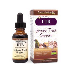 amber naturalz utr urinary tract herbal supplement for dogs, cats, birds, guinea pigs, and rabbits | pet herbal supplement for bladder support | 1 fluid ounce glass bottle | manufactured in the usa