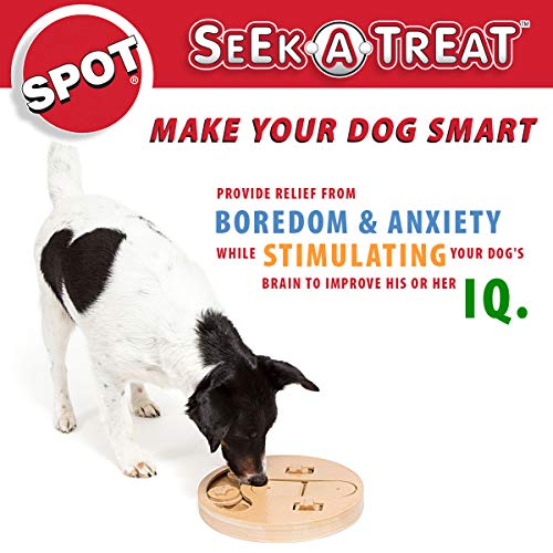 Ethical Pet Interactive Seek-A-Treat Flip 'N Flap Bone Dog Toy Puzzle That Will Improve Your Dog's IQ. Specially Designed for Dog Training Treats., Multicolor; 1.65 pounds (5652)