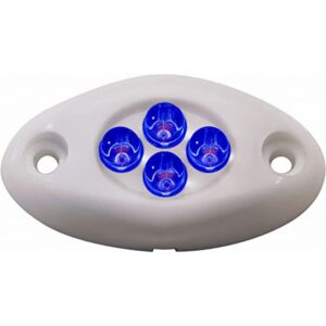 innovative lighting 4-blue led screw mount courtesy light with white case