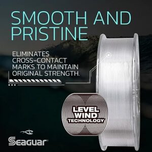 Seaguar Blue Label 100% Flourocarbon Fishing Line (DSF), 20lbs, 25yds Break Strength/Length - 20FC25