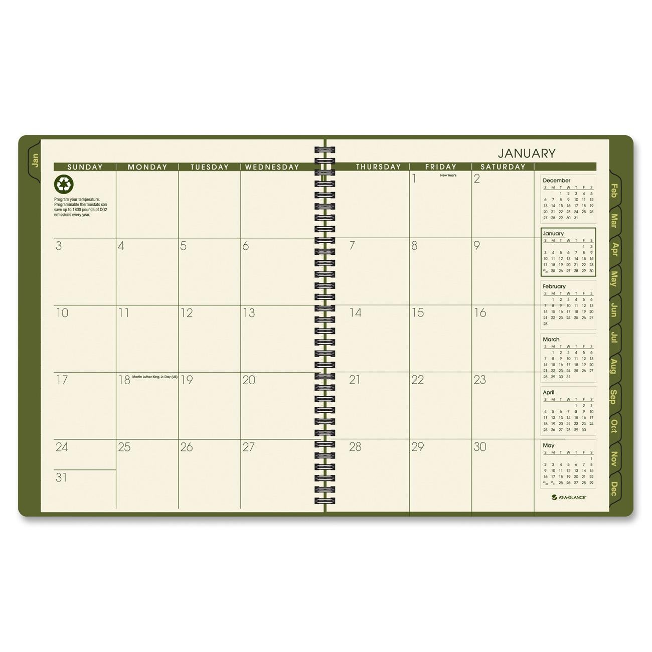 AT-A-GLANCE Recycled Weekly/Monthly Appointment Book, 8 x 11 Inches, Green, 2012 (70-950G-60)