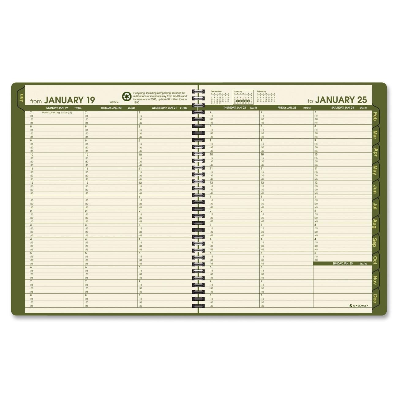 AT-A-GLANCE Recycled Weekly/Monthly Appointment Book, 8 x 11 Inches, Green, 2012 (70-950G-60)