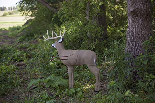 Shooter Buck 3D Deer Archery Target with Replaceable Core, brown