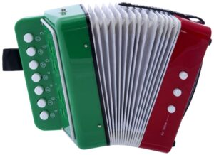 d'luca g105-mex child button accordion mexican flag