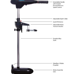 Watersnake Tracer Transom Mount Trolling Freshwater Motor (Black, 36-inch)