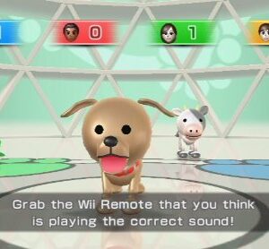 Wii Party