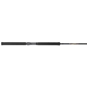 b&m graph jig pole, 10'