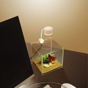 Marina CUBUS Glass Betta Kit – Elegant Glass Aquarium for Homes or Offices