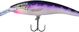 Rapala Deep Tail Dancer 11 Fishing lure, 4.375-Inch, Purpledescent