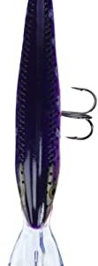 Rapala Deep Tail Dancer 11 Fishing lure, 4.375-Inch, Purpledescent