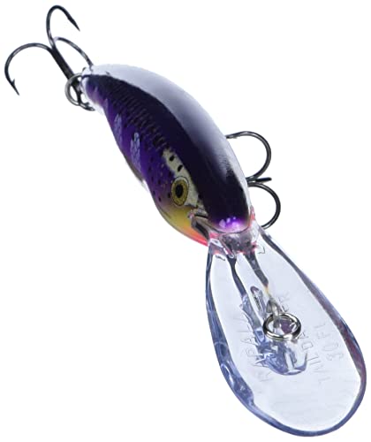 Rapala Deep Tail Dancer 11 Fishing lure, 4.375-Inch, Purpledescent