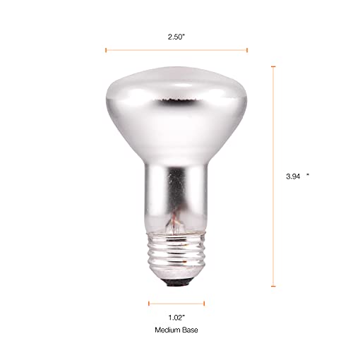 SYLVANIA Incandescent Flood Light Bulbs, R20 45W, 295 Lumens, 2,000 Hours, Value Pack (15676), Warm White, 6 Pack