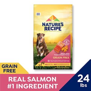 Nature’s Recipe Grain Free Salmon, Sweet Potato & Pumpkin Recipe Dry Dog Food, 24 lb. Bag