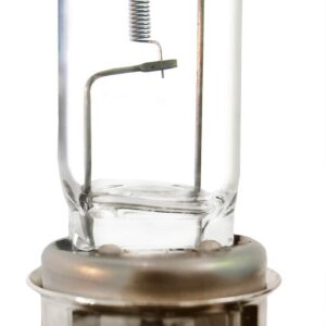 Halogen Bulb