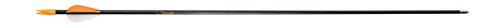 Bear Archery Youth Safety Glass Arrows, Durable & Splinter-Free Fiberglass Arrows, Nocks and Points Included, 28" Length