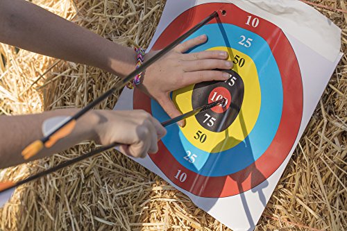 Bear Archery Youth Safety Glass Arrows, Durable & Splinter-Free Fiberglass Arrows, Nocks and Points Included, 28" Length