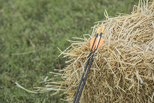 Bear Archery Youth Safety Glass Arrows, Durable & Splinter-Free Fiberglass Arrows, Nocks and Points Included, 28" Length