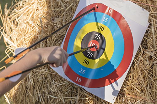 Bear Archery Youth Safety Glass Arrows, Durable & Splinter-Free Fiberglass Arrows, Nocks and Points Included, 28" Length