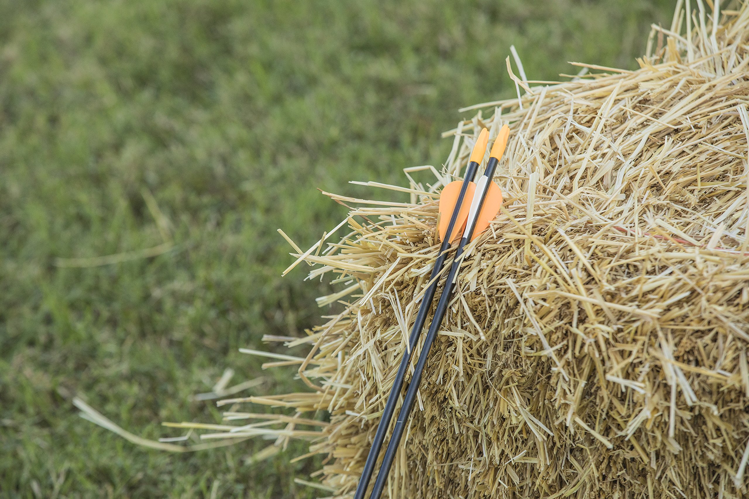 Bear Archery Youth Safety Glass Arrows, Durable & Splinter-Free Fiberglass Arrows, Nocks and Points Included, 26" Length