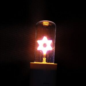 Electric Yahrzeit Replacement Bulb Memorial