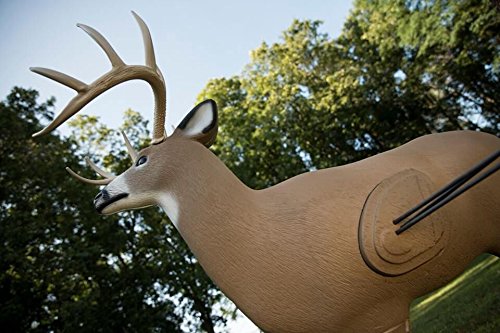 Field Logic Big Shooter Buck 3D Archery Target with Replaceable Insert Core, Brown