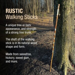 Brazos Rustic Wood Walking Stick, Twisted Sassafras, Traditional Style Handle, for Men & Women, Made in the USA, 48"