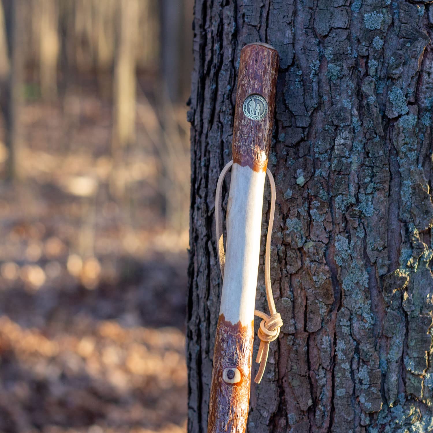 Brazos Rustic Wood Walking Stick, Twisted Sassafras, Traditional Style Handle, for Men & Women, Made in The USA, 55"