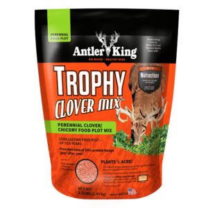 antler king trophy clover mix