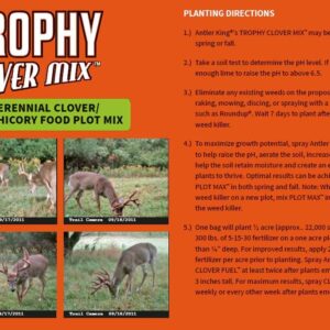 Antler King Trophy Clover Mix