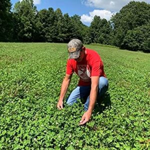 Antler King Trophy Clover Mix