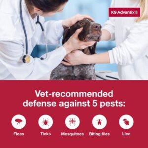 K9 Advantix II XL Dog Vet-Recommended Flea, Tick & Mosquito Treatment & Prevention | Dogs Over 55 lbs. | 4-Mo Supply