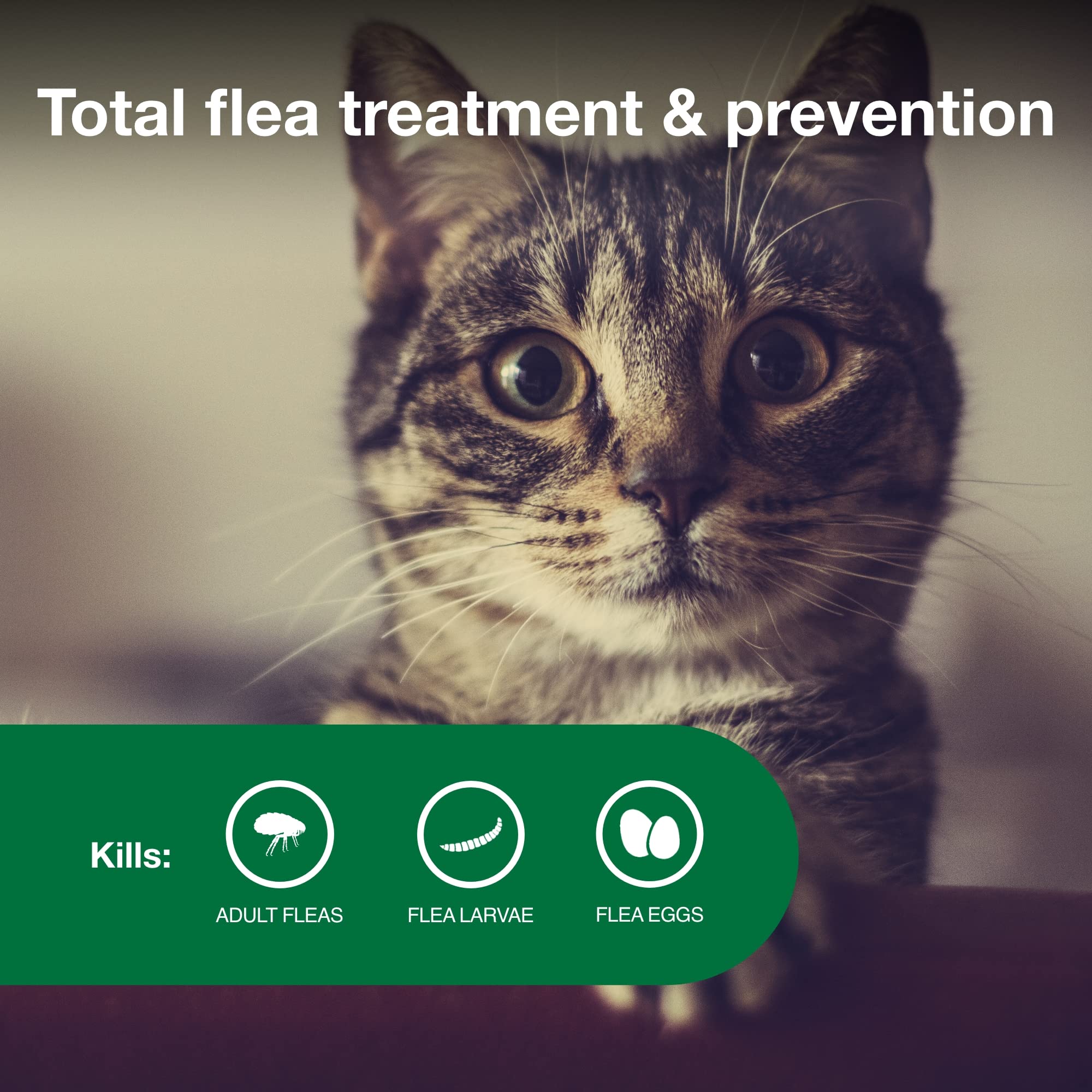 Advantage II Small Cat Vet-Recommended Flea Treatment & Prevention | Cats 5-9 lbs. | 4-Month Supply