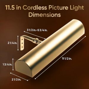 Concepdesigns Picture Light, Battery Operated Picture Light, Dimmable Wireless Picture Lights for Wall, Art Light, Library Light Battery Operated with Remote Control - 11.5 inches, Polished Brass