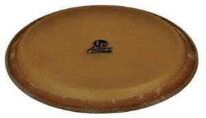 latin percussion lpa640a aspire 10-inch rawhide quinto head